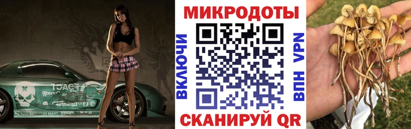 Псилоцибиновые грибы Psilocybe  магазин продажи наркотиков  Горняк 